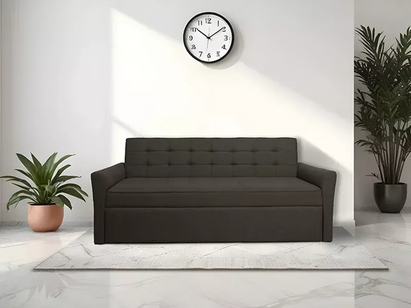 Zenith Sofa Cum Bed in Dark Grey